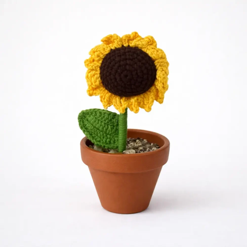 Girasol